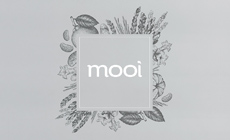 MOOI | Brand Identity